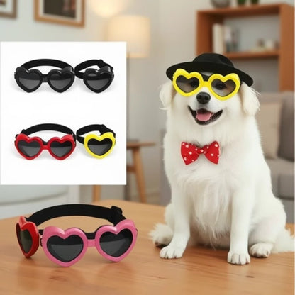 Sunglasses for Dogs