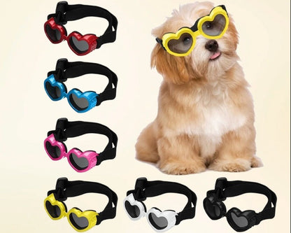 Sunglasses for Dogs