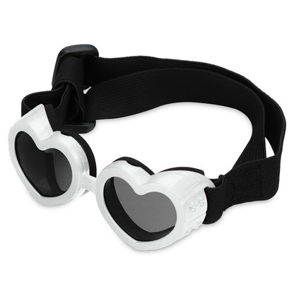 Sunglasses for Dogs