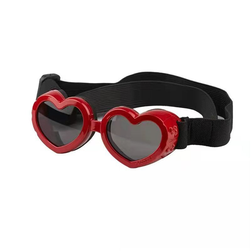 Sunglasses for Dogs