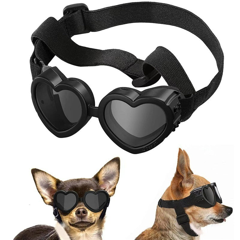 Sunglasses for Dogs